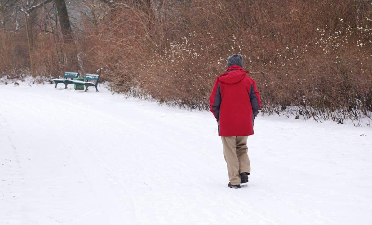 Thanksgiving Weather Could Turn Snowy in Parts of America, New Forecast Map Shows
